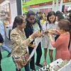Además de las bebidas, los productos de belleza y salud elaborados a partir de frutas en Dak Lak también están atrayendo la atención de los clientes malayos. (Fuente: VNA)