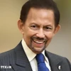 El Sultán de Brunéi Darussalam, Haji Hassanal. (Fuente: VNA)