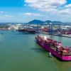 El Puerto Internacional Tan Cang- Cai Mep (Ba Ria - Vung Tau). (Foto: VNA)