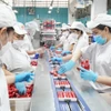Línea de envasado de productos en la empresa ecológica Vissan. (Fuente: Internet)