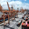 Exportaciones agroforestales y acuáticas de Vietnam registran un fuerte avance en primeros cinco meses