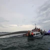 Fuerzas competentes realizan tareas de búsqueda y rescate. (Fuente: VNA)