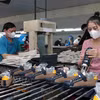 La empresa textil y química Ha Tay tiene numerosos pedidos de exportación a los mercados de Estados Unidos y Europa. (Foto: VNA)
