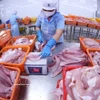 Navico, gigante vietnamita en la producción y exportación de pangasius 