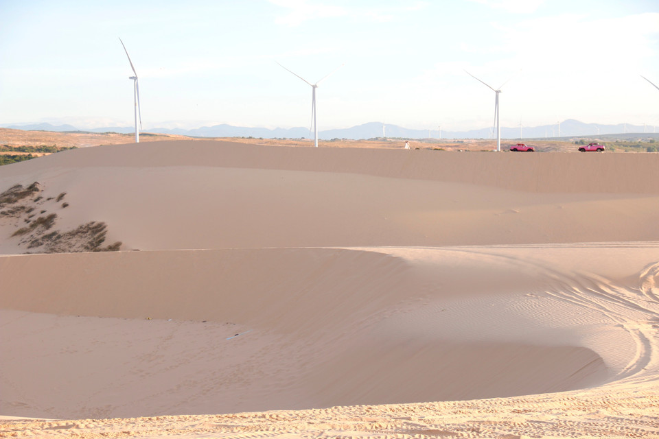 Las altas dunas de arena, que se extienden con formas únicas y cambian frecuentemente por el viento, enamoran a los visitantes. Foto: VNA