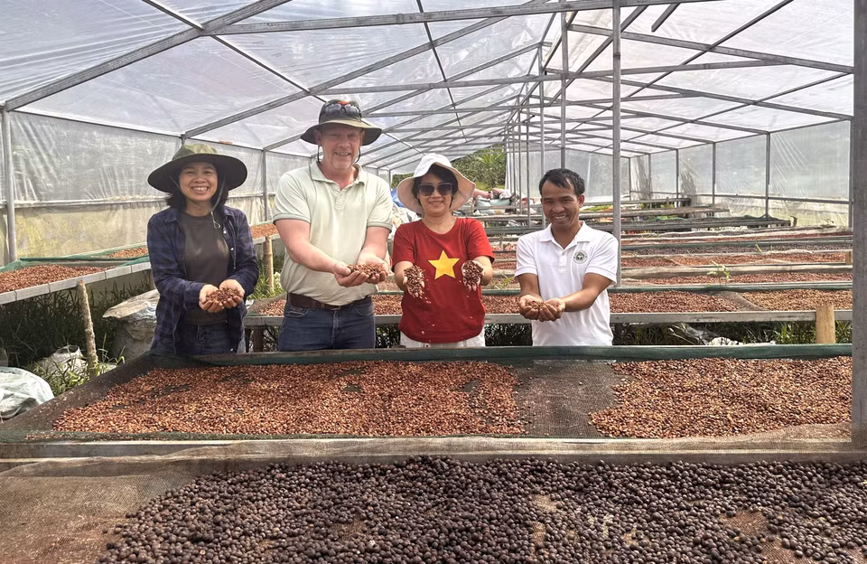 Khe Sanh desarrolla actualmente el turismo de experiencias vinculado a la región cafetalera de arábica. Las colinas de café cubiertas de flores blancas en la temporada de floración, los cafetales cargados de frutos maduros y los vestigios históricos a lo largo de la Ruta 9-Khe Sanh conforman un producto turístico con identidad propia. Foto: VNA
