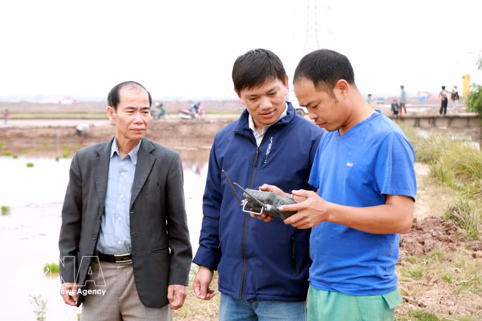 Luong Van Truong (centro) supervisa el proceso de siembra de arroz mediante un dispositivo de control. Foto: Nguyen Lanh– VNA