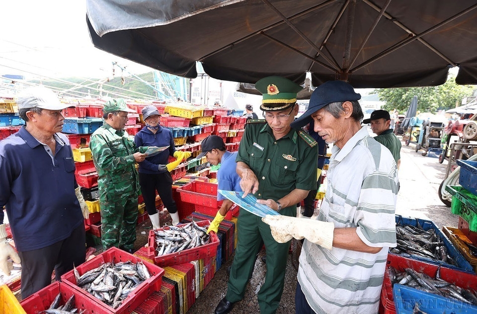 Guardias fronterizos realizan labores de divulgación entre los pescadores sobre la explotación pesquera conforme a las normas de la pesca, en el puerto pesquero de Quy Nhơn, provincia de Gia Lai. Foto: VNA
