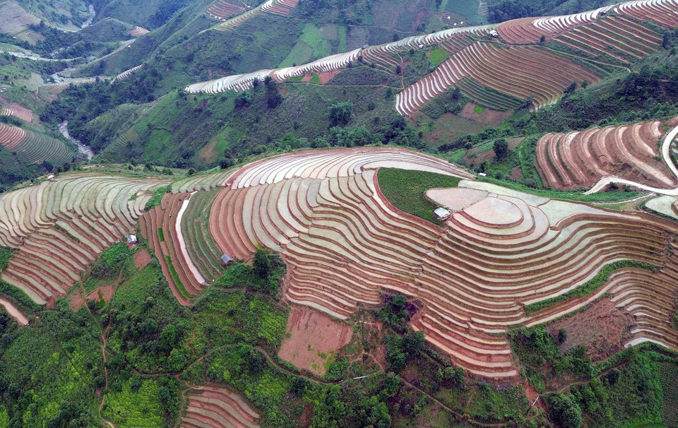 Las terrazas de arroz son un símbolo distintivo de las montañas del noroeste de Vietnam, especialmente durante la temporada de arroz maduro y el periodo de lluvia. Foto: Quang Quyet – VNA
