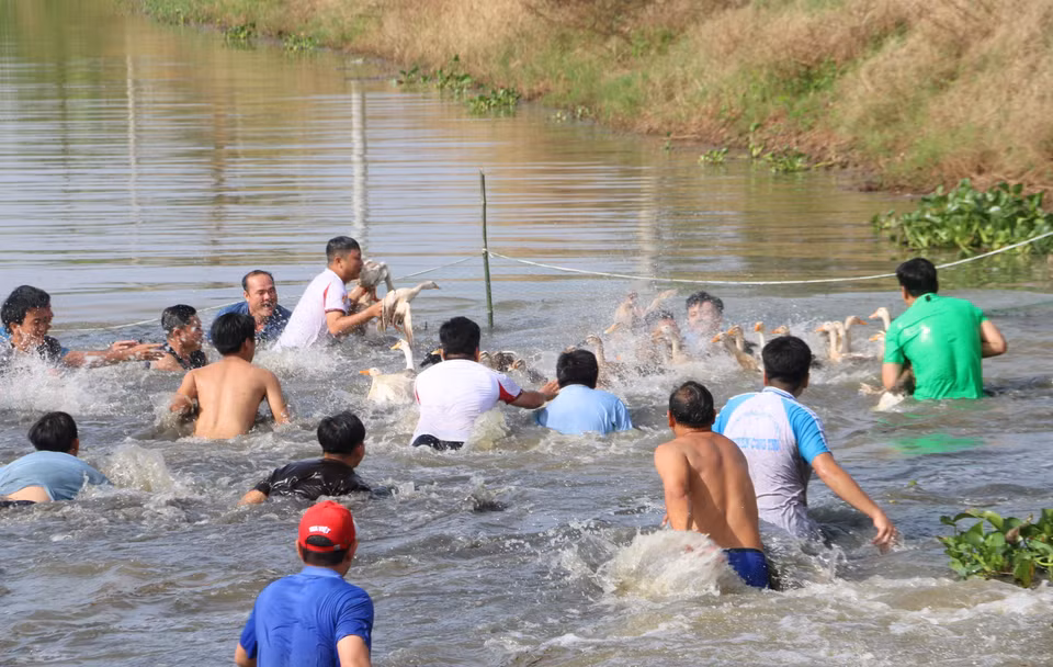 Habitantes y turistas participan en el juego folclórico de atrapar patos en el agua. Foto: VNA