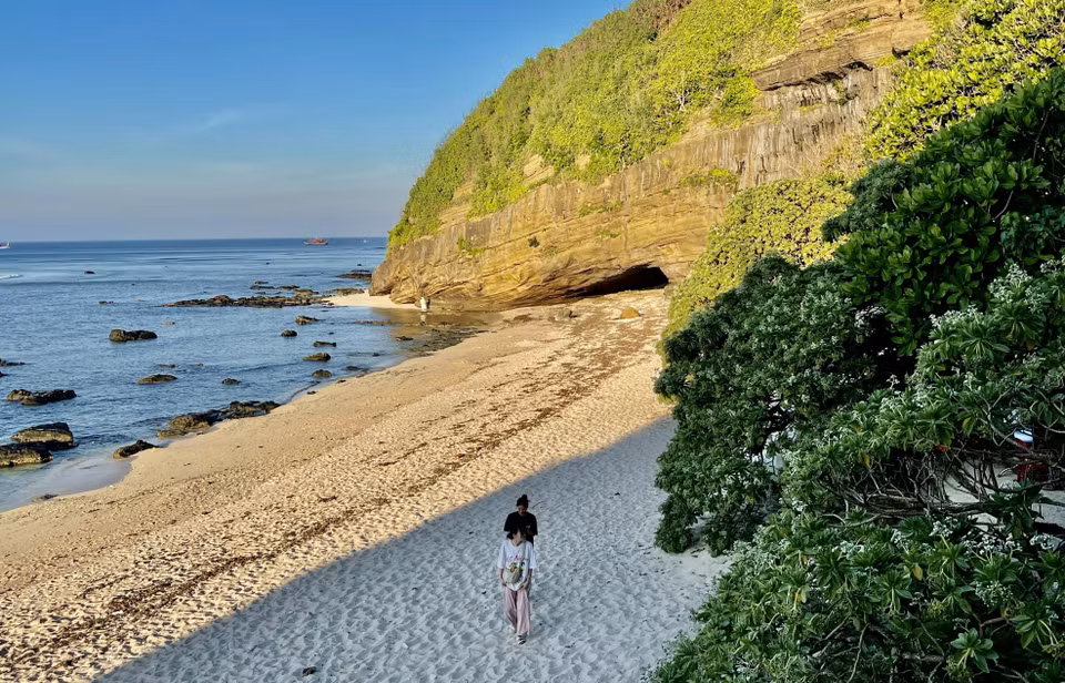 Los delicados y valiosos paisajes verdes creados por esta planta en la costa de la isla. Foto: VNA