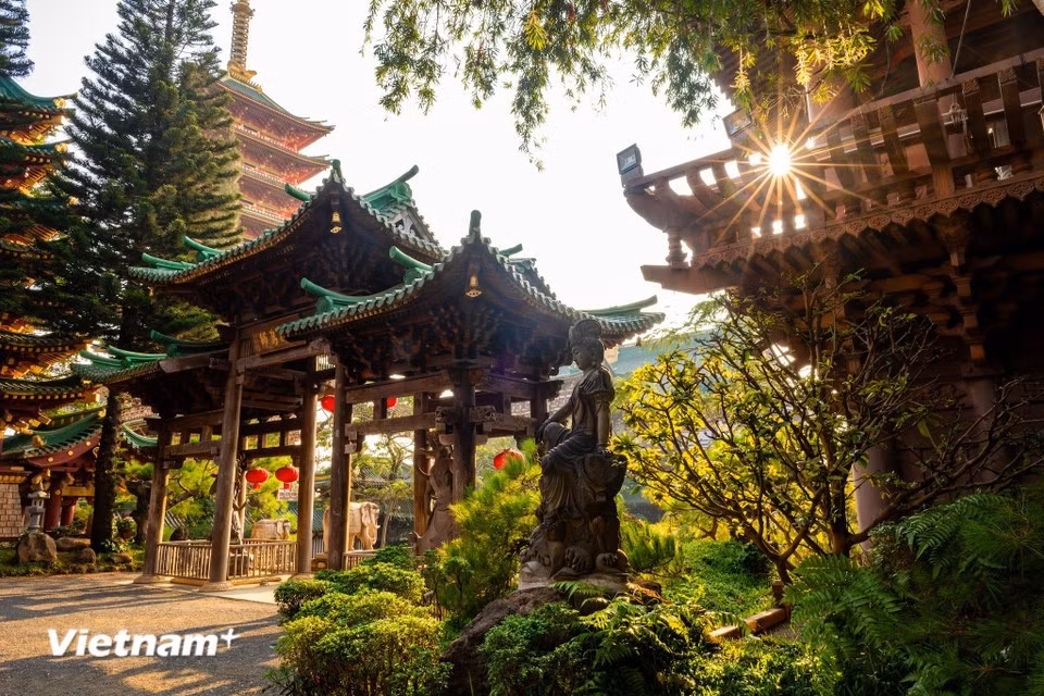 Durante la visita, los turistas pueden disfrutar de un espacio verde, tranquilo y apacible, con árboles, jardines, estanques y muros cubiertos de musgo. (Foto: Vietnam+)