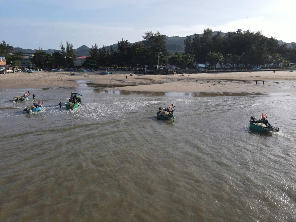 Desde temprano en la mañana, pequeños botes de pesca regresan uno tras otro a la orilla con gran alegría, llevando cargamentos de pescado fresco. Foto: Hoang Nhi -VNA