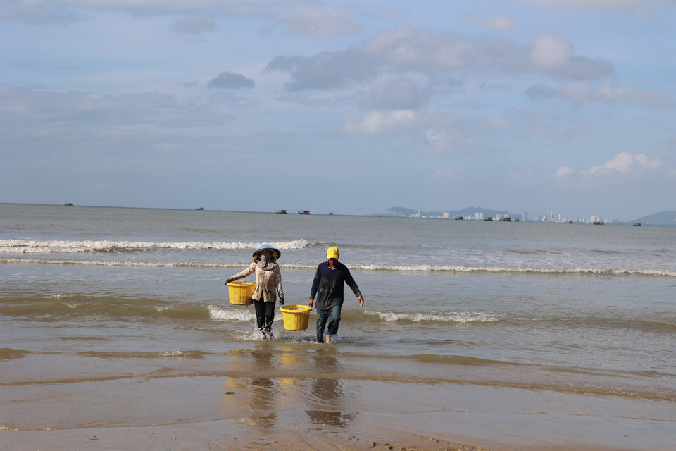 Después de sacar el pescado de las redes, los pescadores lo lavan con agua de mar y lo venden inmediatamente. Foto: Hoang Nhi -VNA