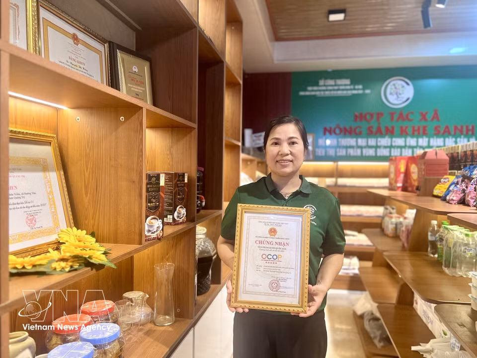 El producto de café 100% arábica de Khe Sanh, elaborado por la Cooperativa de Productos Agrícolas homónima, ha sido reconocido como producto OCOP de cinco estrellas a nivel nacional, contribuyendo a elevar y consolidar la marca del café local. Foto: VNA