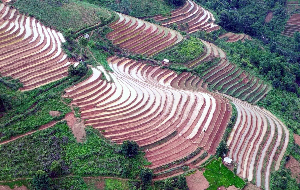 Terrazas de arroz en la comuna de Xim Vang, distrito de Bac Yen, provincia de Son La. Foto: Quang Quyet – VNA