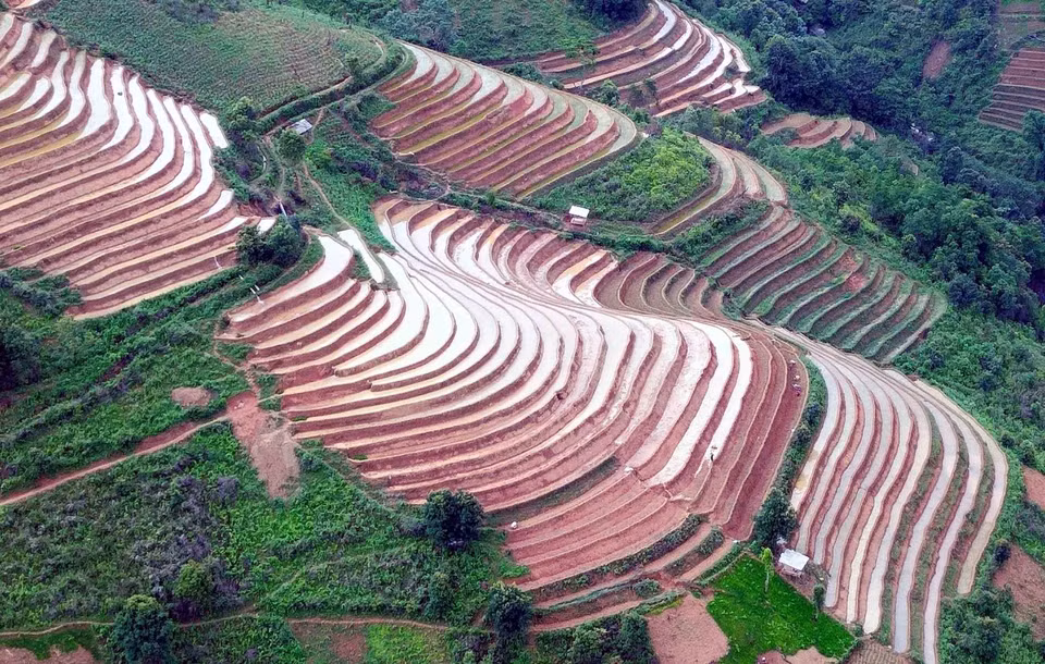 Terrazas de arroz en la comuna de Xim Vang, distrito de Bac Yen, provincia de Son La. Foto: Quang Quyet – VNA