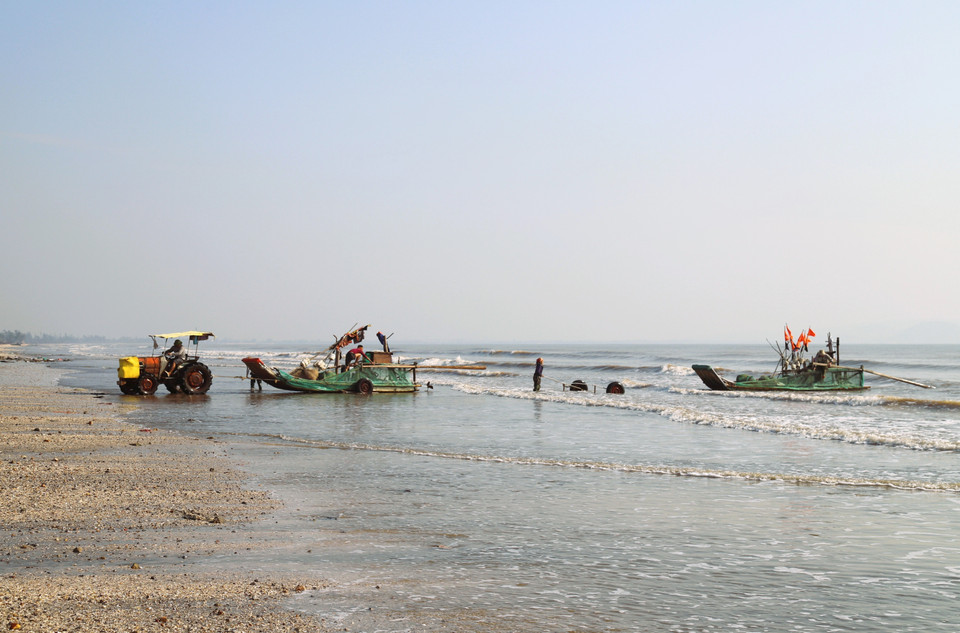 Cada mañana temprano, la playa de la comuna de Hai Chau (provincia de Nghe An) se llena de vida con el ajetreo de las balsas de pescadores que llegan una tras otra a la costa. Foto: VNA