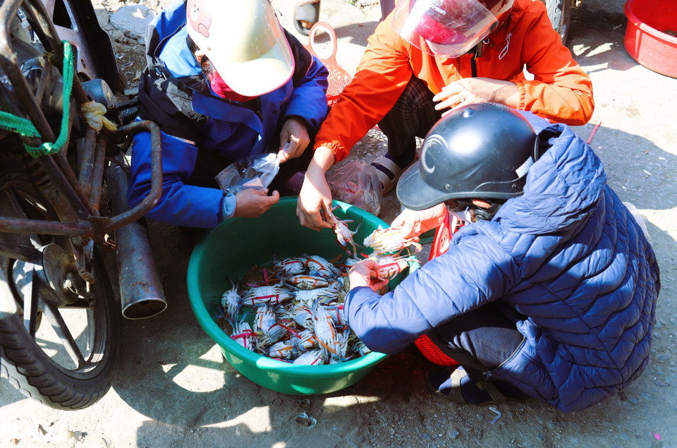 Los cangrejos de mar son vendidos por muchos comerciantes en los mercados locales de las comunas costeras. Foto: VNA