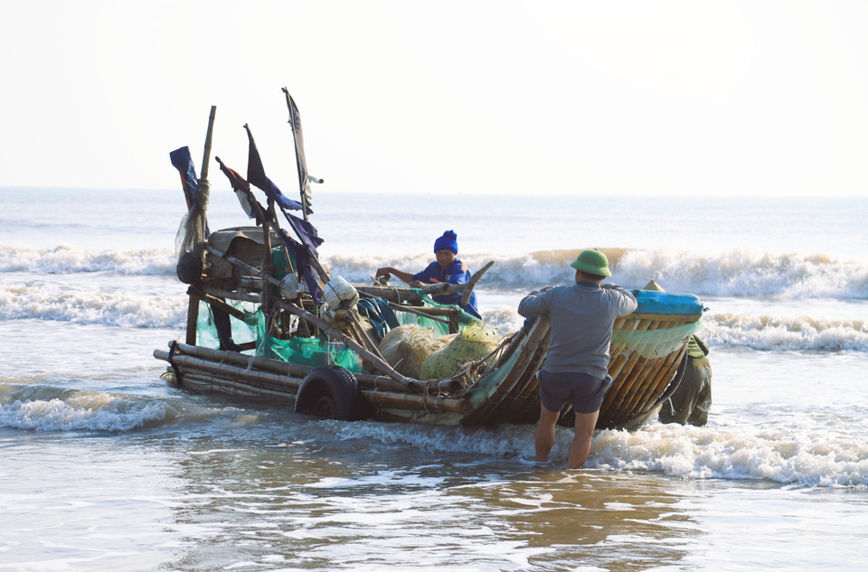 Cuando las balsas llegan a la costa, los pescadores deben ajustar sus vehículos para que las balsas estén en el sistema de rodillos antes de usar un tractor para arrastrarlas a la orilla. Foto: VNA