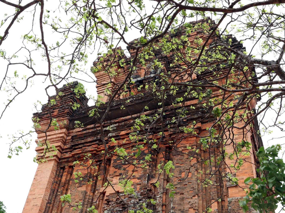 Situada en la cima del monte Nhan, esta antigua torre es una “coordenada cultural” y un símbolo inseparable de la tierra de Phu Yen. (Foto: VNA)
