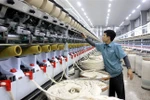 En una empresa en la provincia de Thai Binh. (Fuente: VNA)