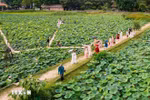 Loto en Ninh Binh. (Fuente: VNA)