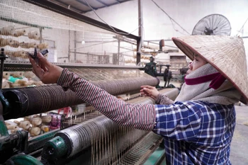 Provincia de Hung Yen mantiene viva la tradición del tejido de esteras de junco