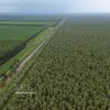 El Parque Nacional U Minh Ha (Fuente: VNA)