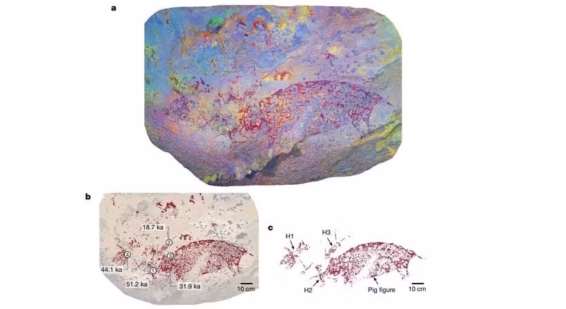 Una pintura en una cueva de Indonesia (Foto: Universidad Griffith)