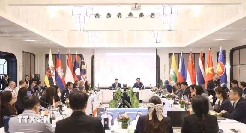 En la 19 reunión del Grupo de Trabajo del Foro de la ASEAN sobre Tributación en la provincia de Luang Prabang, Laos. (Foto: VNA)