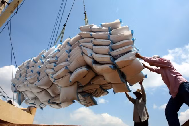 Arroz vietnamita para la exportación (Fuente: VNA)
