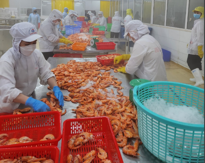 La economía de Vietnam aumentó un 7,09% en 2024 desde el 5,1% en 2023, superando con creces la previsión general del 6,7%. (Fuente: VietnamPlus) sx-tom-3.png