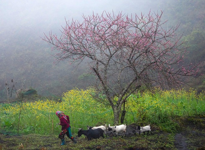 La belleza de la vida de los pueblos indígenas tiene un atractivo especial para los turistas internacionales. (Fuente: VietnamPlus) 4a.jpg