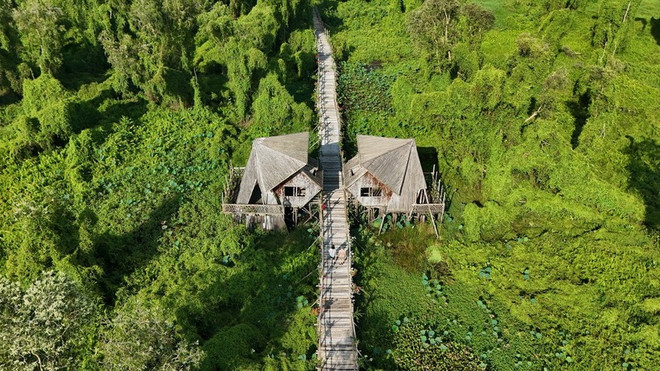 La zona turística del bosque de cajuput de Tra Su (ciudad de Tinh Bien, provincia de An Giang) es un destino favorito para turistas nacionales y extranjeros. (Fuente: VNA) tra-su.jpg