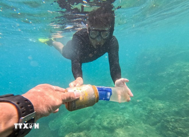 Buzos voluntarios limpian basura en el área de coral de Hon Sup en “Clean Up Son Tra”, un programa de protección ambiental en la península de Son Tra, en Da Nang. (Fuente: VNA) du-lich-bien-da-nang-2.jpg