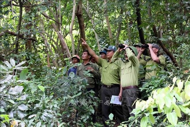 En una patrulla en el Parque Nacional Phong Nha - Ke Bang. (Fuente: VNA) quang-tri-14725.jpg
