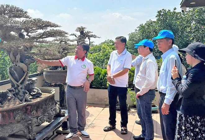 En el sitio turístico de OCOP de la aldea de plantas ornamentales en la comuna de Hong Van. (Fuente: hanoimoi.vn) ocop.jpg
