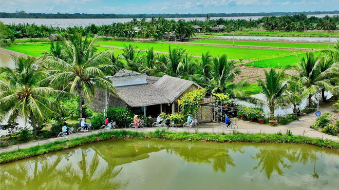 Espacio verde en el sitio turístico comunitario de Con Chim. (Fuente: VNA) vna-potal-diem-du-lich-cong-dong-con-chim-tra-vinh-nhan-giai-thuong-du-lich-asean-2025-7823424.jpg