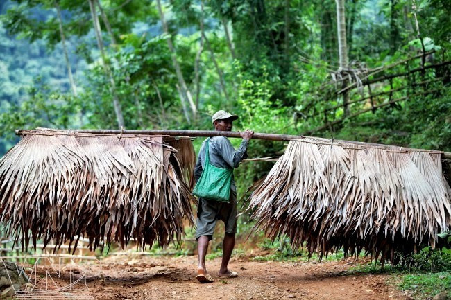 Para proteger la biodiversidad, la gente local sólo recoge productos secos del bosque para su sustento. (Fuente: vietnam.vnanet.vn) pl3-090625.jpg