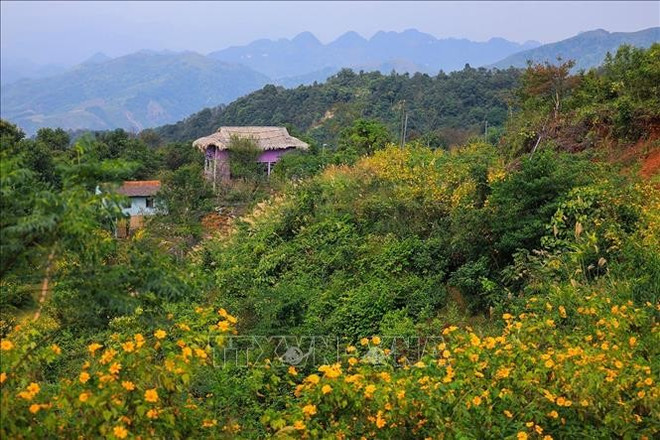 Flores en el poblado Mung. (Fuente: VNA) mu.jpg