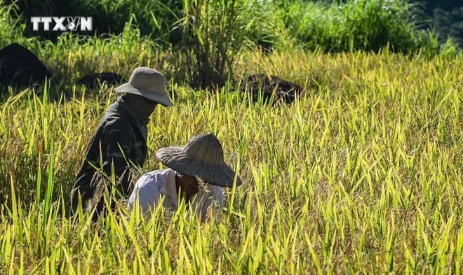 Belleza de Thuong Coc. (Fuente: VNA) miendoigat.jpg