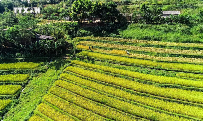 Belleza de Thuong Coc. (Fuente: VNA) miendoi1.jpg