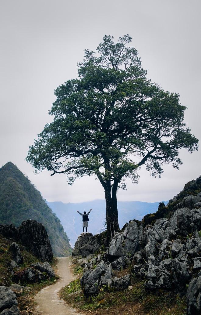 Los pasos montañosos serpenteantes de la meseta rocosa de Ha Giang ofrecen a los viajeros una experiencia cargada de emociones. (Foto: VietnamPlus) 490821190-2467702353570892-4507129987366058247-n.jpg