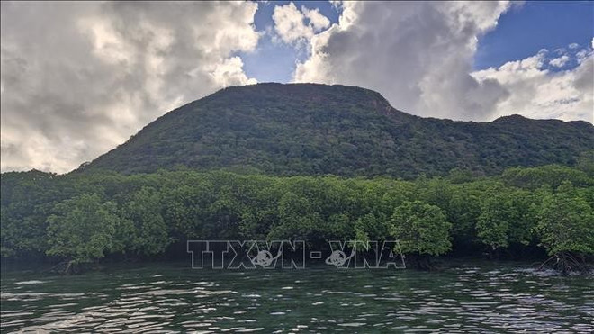 La plantación de nuevos manglares y bosques de coral no solo aumenta la superficie de sumideros de carbono, sino que también contribuye a proteger la costa, prevenir la erosión y crear hábitats para las especies acuáticas. (Fuente: VNA) con-dao-10925-11.jpg