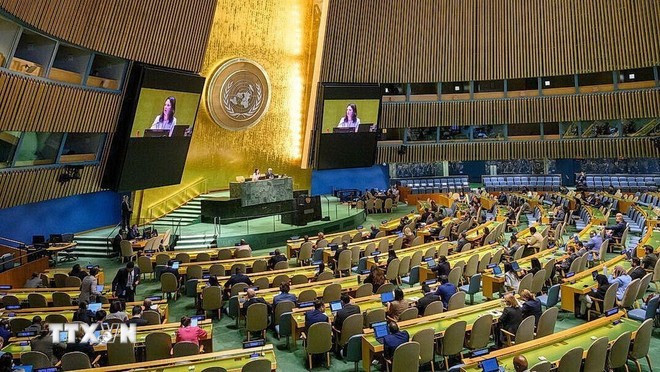 En una reunión de la Asamblea General de la ONU. (Fuente: VNA) hop-dhd.jpg
