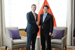 El presidente de Vietnam, Luong Cuong (derecha) y Jeffrey David Perlman, director ejecutivo del Fondo de Inversión Warburg Pincus y presidente del Consejo Empresarial EE. UU.-ASEAN. (Fuente: VNA)