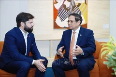 El primer ministro Pham Minh Chinh (der.) se reúne con el presidente chileno Gabriel Boric Font en Río de Janeiro (Foto: VNA)
