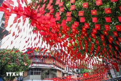 Una calle de Hanoi repleta de banderas nacionales. (Foto: VNA)