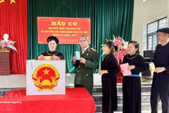 Los votantes vietnamitas emiten sus votos (Foto: VNA)